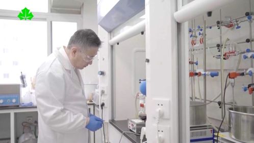 智能时代劳动者之歌 当高分子材料研发遇见AI头脑风暴